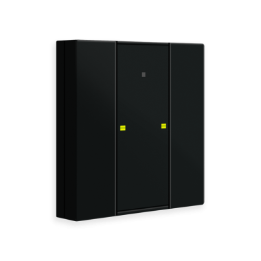 Bouton-poussoir KNX 2 touches + T° + LED noir